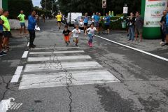 IMG_2155.jpg