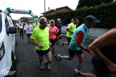 IMG_2217.jpg