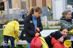 IMG_1550.jpg