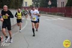IMG_0733.jpg