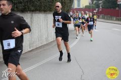 IMG_0736.jpg