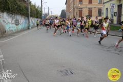 IMG_0286.jpg