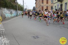 IMG_0287.jpg