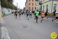 IMG_0310.jpg