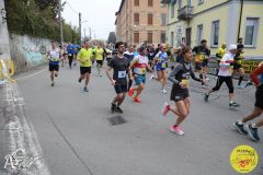 IMG_0312.jpg