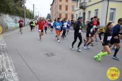IMG_0343.jpg