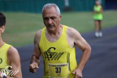 IMG_0893.jpg