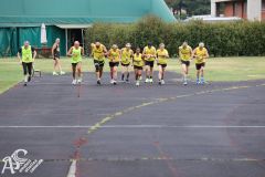 IMG_0978.jpg