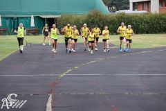 IMG_0979.jpg