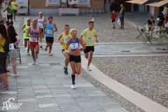 IMG_1785.jpg