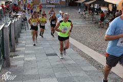 IMG_1993.jpg
