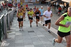 IMG_1995.jpg