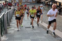 IMG_1996.jpg