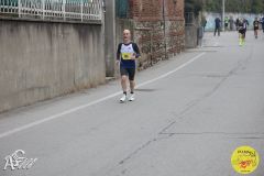 IMG_0878.jpg