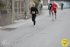 IMG_0905.jpg