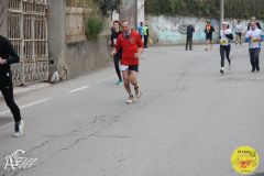IMG_0906.jpg