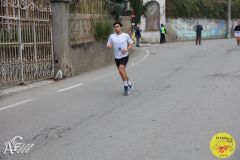 IMG_0910.jpg