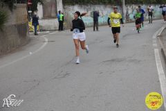 IMG_0911.jpg