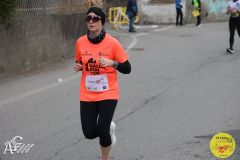 IMG_0916.jpg