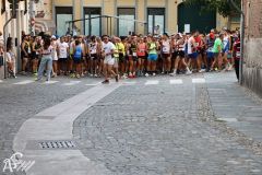 IMG09907.jpg