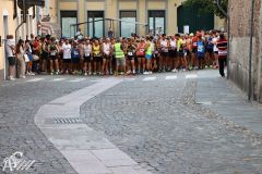 IMG09909.jpg