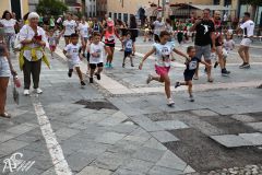 IMG09619.jpg