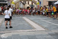 IMG09653.jpg