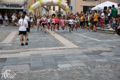IMG09655.jpg