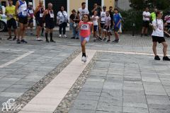 IMG09665.jpg