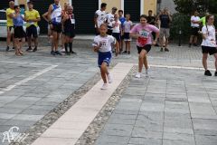 IMG09672.jpg