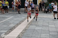 IMG09675.jpg