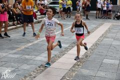 IMG09678.jpg