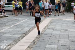 IMG09681.jpg