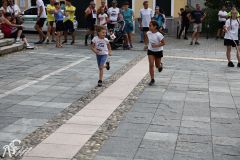 IMG09683.jpg