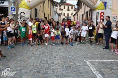 IMG09694.jpg