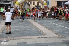 IMG09699.jpg