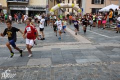 IMG09702.jpg