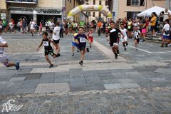 IMG09704.jpg