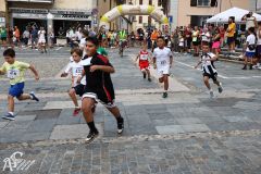 IMG09706.jpg