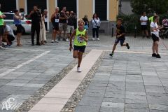 IMG09712.jpg