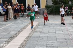 IMG09727.jpg