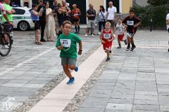 IMG09729.jpg