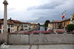 IMG09735.jpg