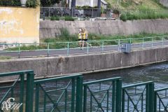 IMG09769.jpg