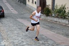 IMG09819.jpg