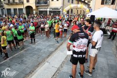 IMG09893.jpg