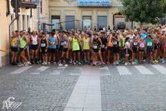 IMG_1542.jpg