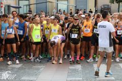 IMG_1545.jpg