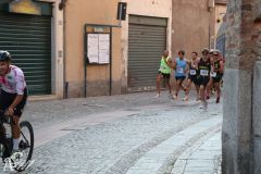 IMG_1555.jpg