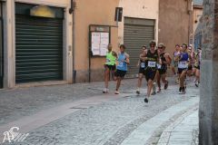 IMG_1556.jpg
